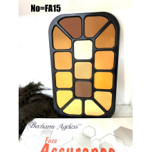 Palette de poudres Ageless 15 en 1 de Becharm
