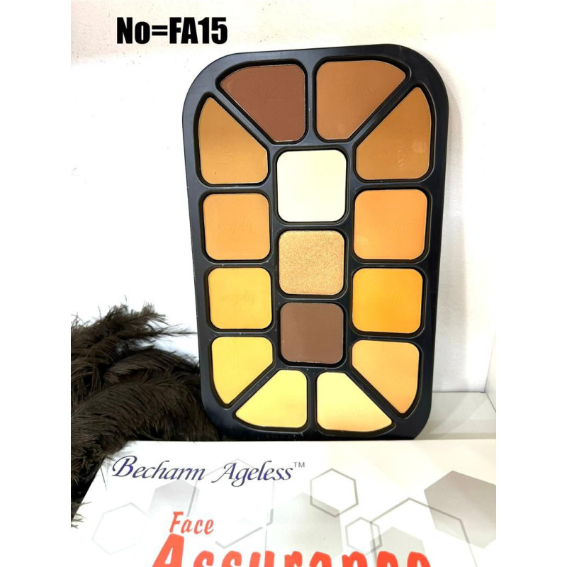 Palette de poudres Ageless 15 en 1 de Becharm