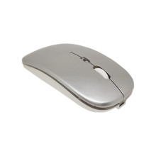 Souris sans Fil Rechargeable