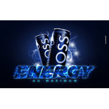 BOISSON ENERGISANTE 1 CARTON DE 24 PIECES